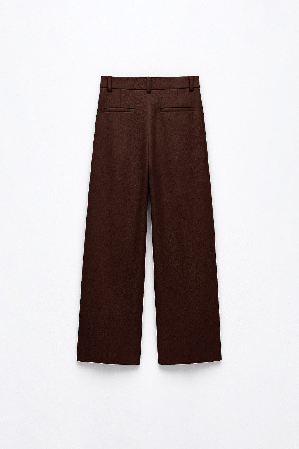 Pantalón Lino Pliegues - Marrón